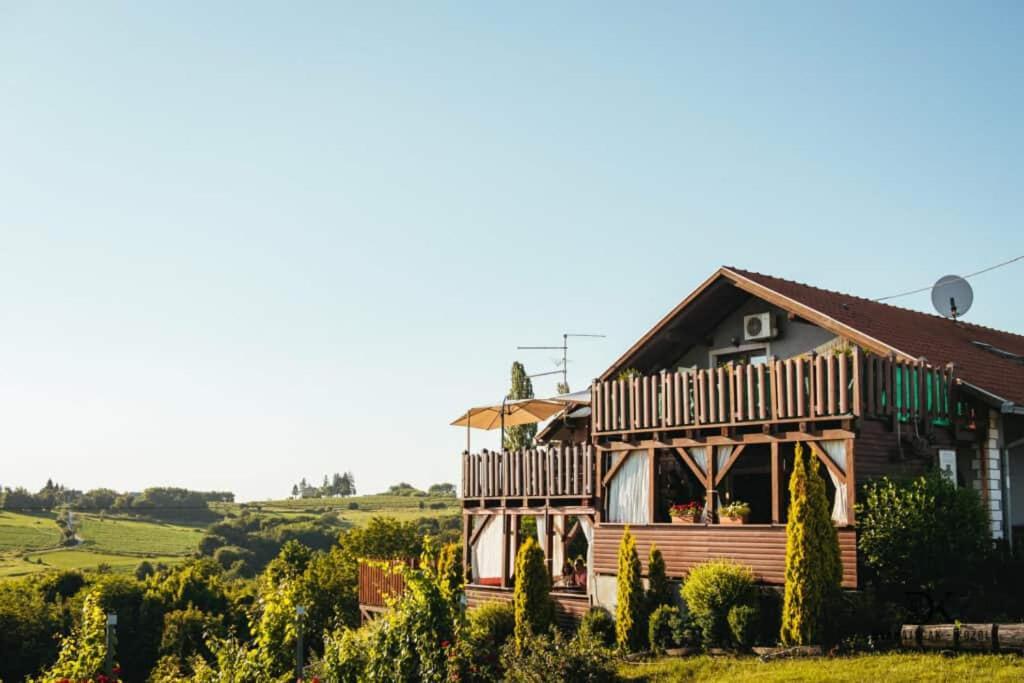 Holiday Home Bella Vita Gornji Mihaljevec エクステリア 写真