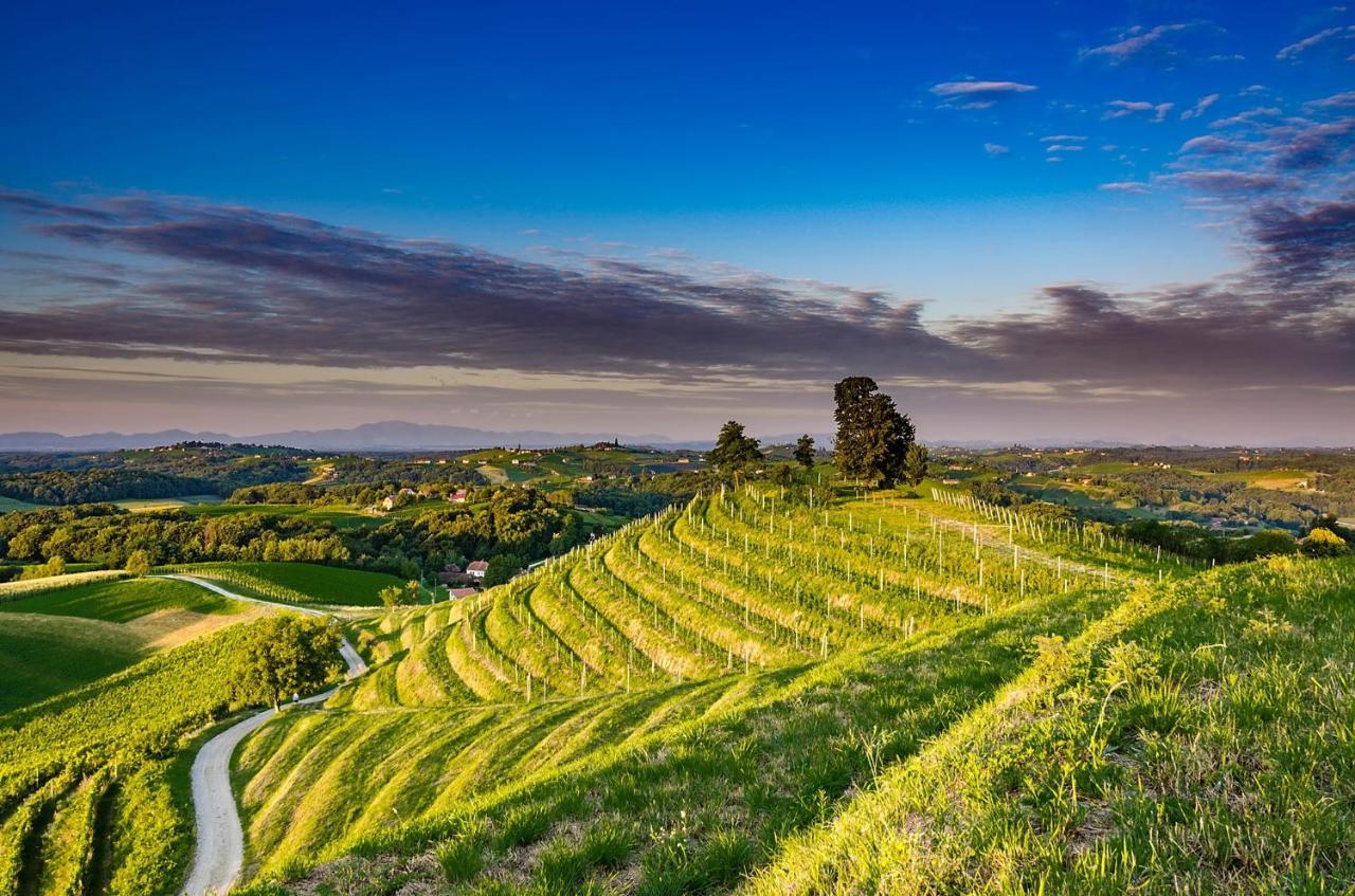 Holiday Home Bella Vita Gornji Mihaljevec エクステリア 写真